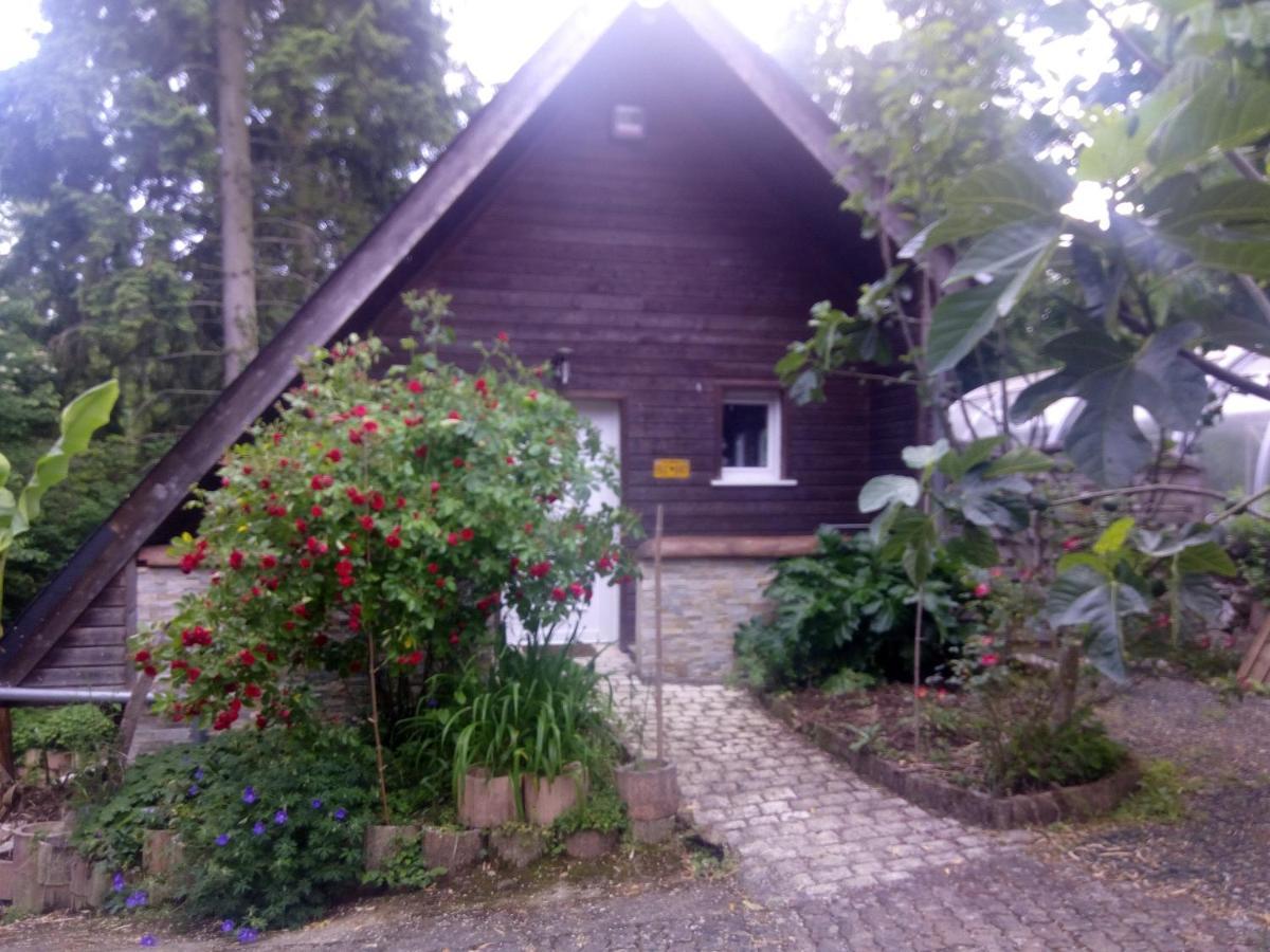 Maison Bois "Alaska" Rochecorbon Bagian luar foto